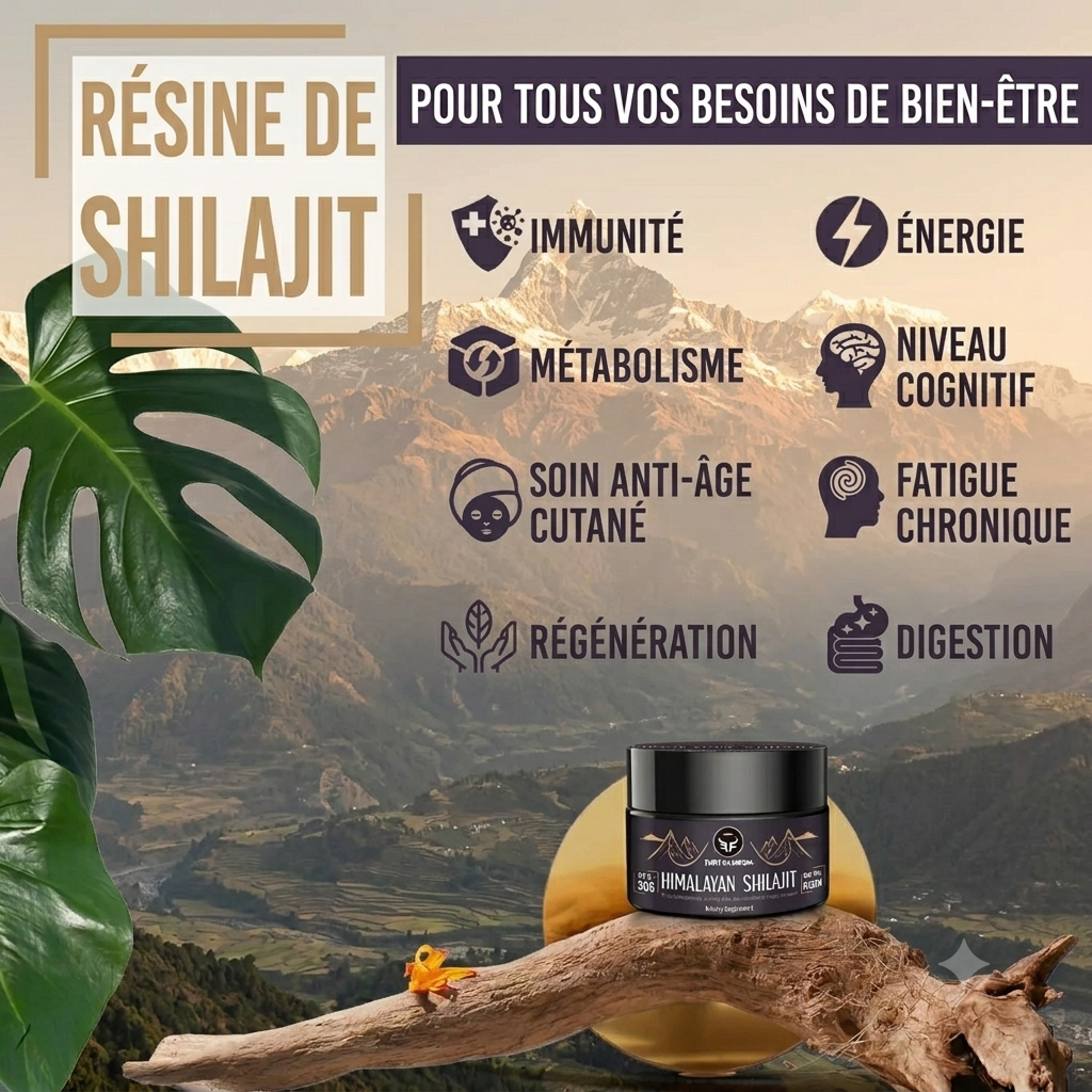 Résine de Shilajit Biologique Pure de l'Himalaya enrichie en Plantes Ayurvédiques