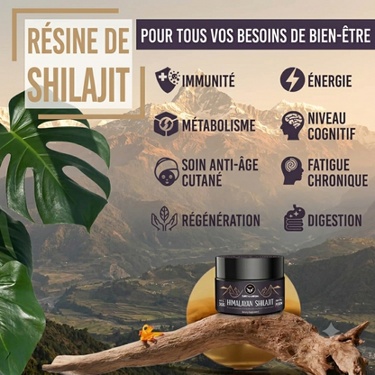 Résine de Shilajit Biologique Pure de l'Himalaya enrichie en Plantes Ayurvédiques