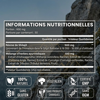 Résine de Shilajit Biologique Pure de l'Himalaya enrichie en Plantes Ayurvédiques